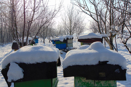 Obrázek Calendario - gennaio 25