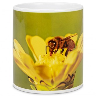 Tazzina ApiSina ape e fiore giallo
