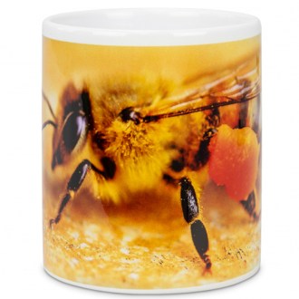 Tazza ApiSina ape