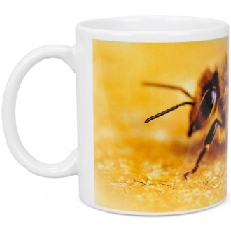 Tazza ApiSina ape