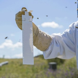 Calistrip Biox 6,44 g - 10 strisce