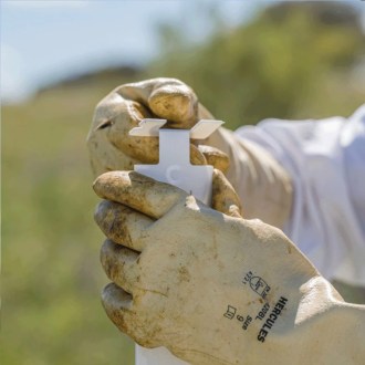 Calistrip Biox 6,44 g - 10 strisce