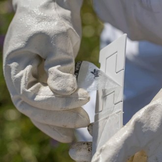 Calistrip Biox 6,44 g - 10 strisce