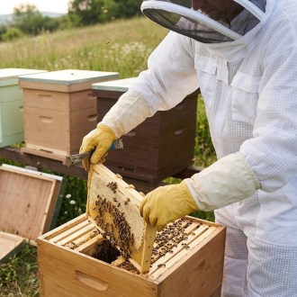 Tuta professionale da apicoltore con maschera taglia: S-XXL