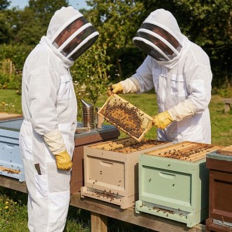 Tuta professionale da apicoltore con maschera taglia: S-XXL