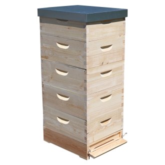 Arnia Langstroth 5 x 3/4 (185) - 10 telaini - zincata