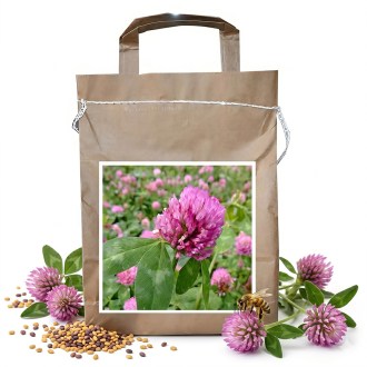 Trifoglio pratense SUEZ - 1 kg