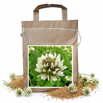 Trifoglio bianco JURA - 1 kg