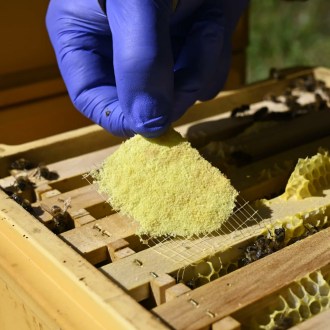 Strisce THYMOVAR 2 x 5 pezzi