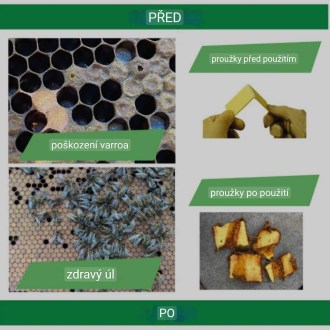 Strisce THYMOVAR 2 x 5 pezzi