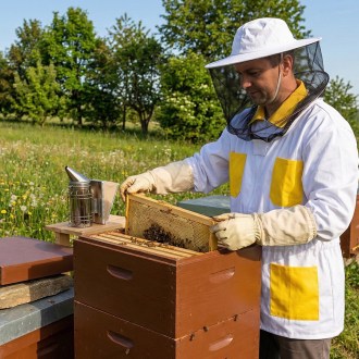 Camiciotto da apicoltore, taglia: 48-68