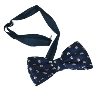 Farfallino blu ApiSina con api